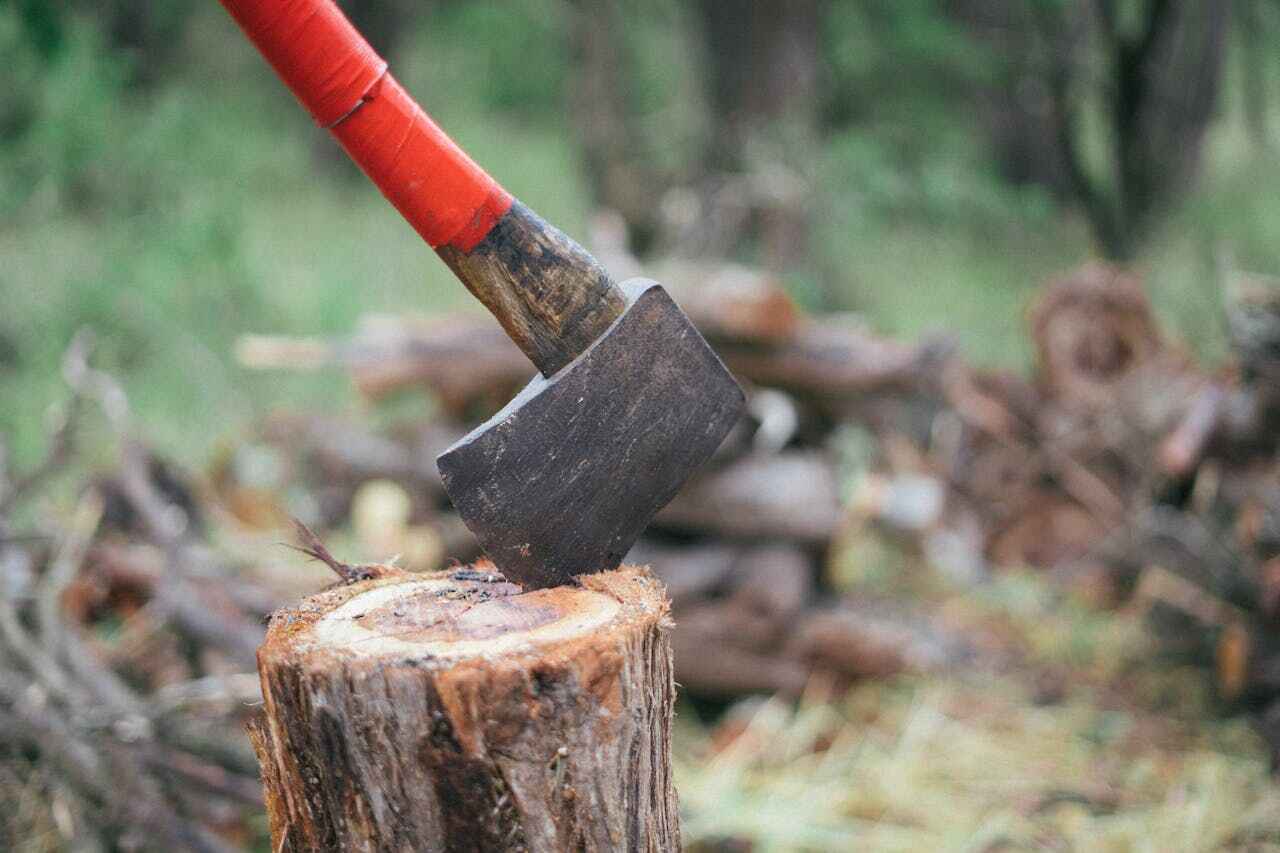 Best Tree Trimming Near Me  in Twin Lake, MI